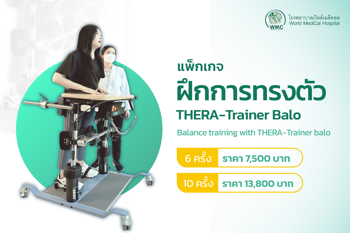 แพ็กเกจ ฝึกการทรงตัว Balance training with THERA-Trainer balo