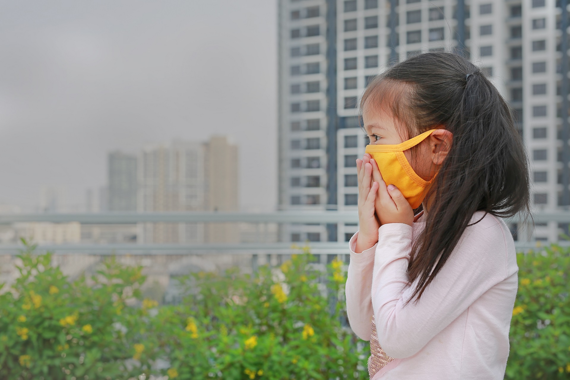 PM 2.5 อาจส่งผลให้เด็ก IQ ต่ำ!?