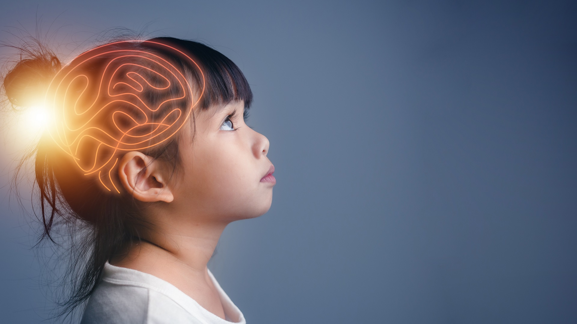 儿童的大脑和神经系统中心