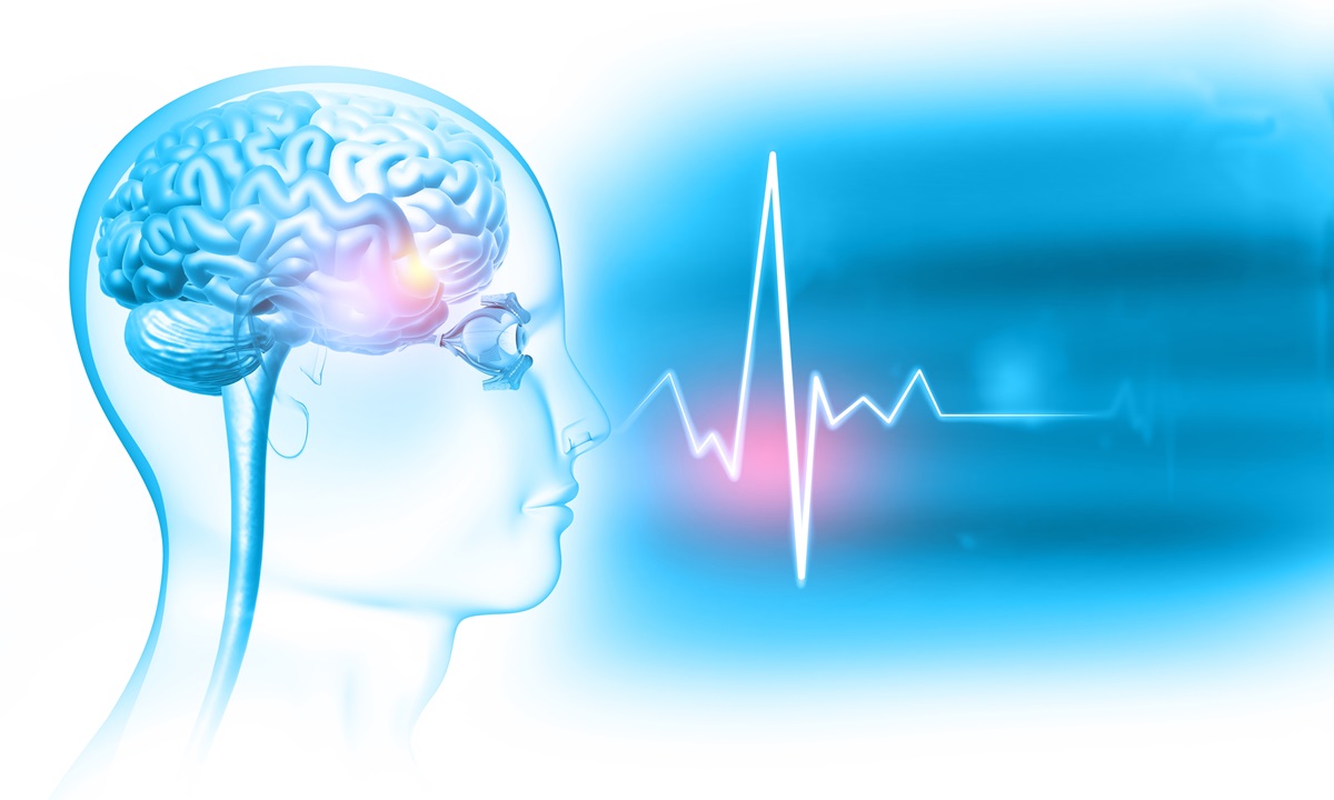 Human,Head,Anatomy,On,Medical,Background.,3d,Illustration