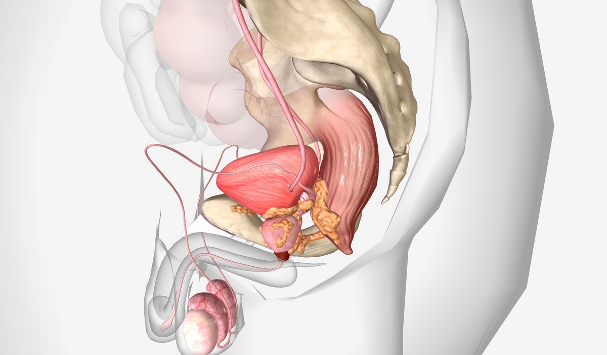 ภัยเงียบที่ชายสูงวัยต้องระวัง “มะเร็งต่อมลูกหมาก” คัดกรองไวรักษาหาย